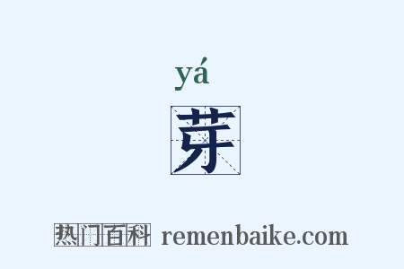 芽是什么意思的图片